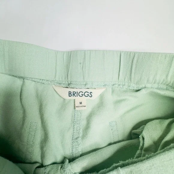 Briggs‎ Seafoam Green Linen Shorts Size Large - Picture 6 of 15
